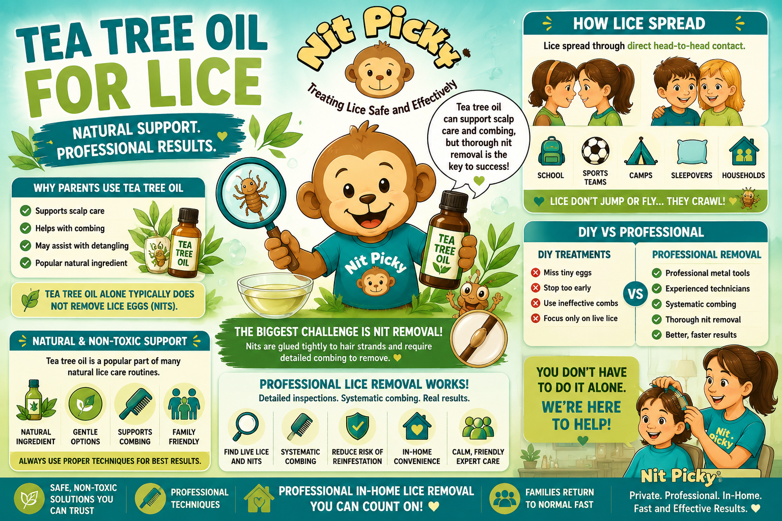 Educational image for tea tree oil for lice