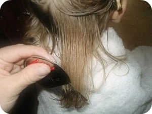 Nit Picky® lice technician combing with a professional lice comb on wet hair with conditioner on a child with fine blonde hair.