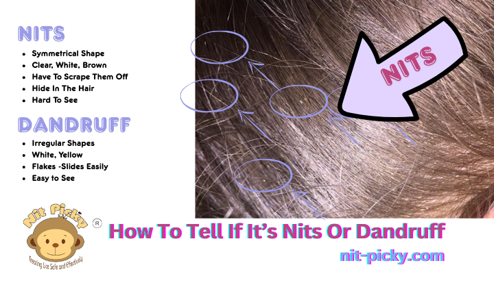 Clear nits in light brown hair