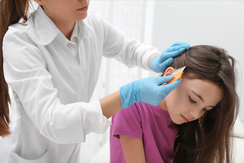 Nit Picky Head Lice Treatment Service & Products. Professional removal ...