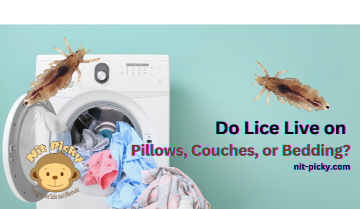 Washing Machine with blankets that need to be washed for head lice by Nit Picky
