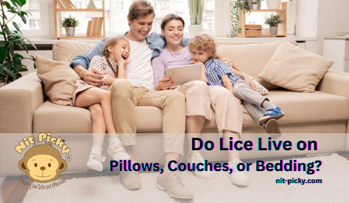 Do Lice Live on Pillows, Couches, or Bedding?