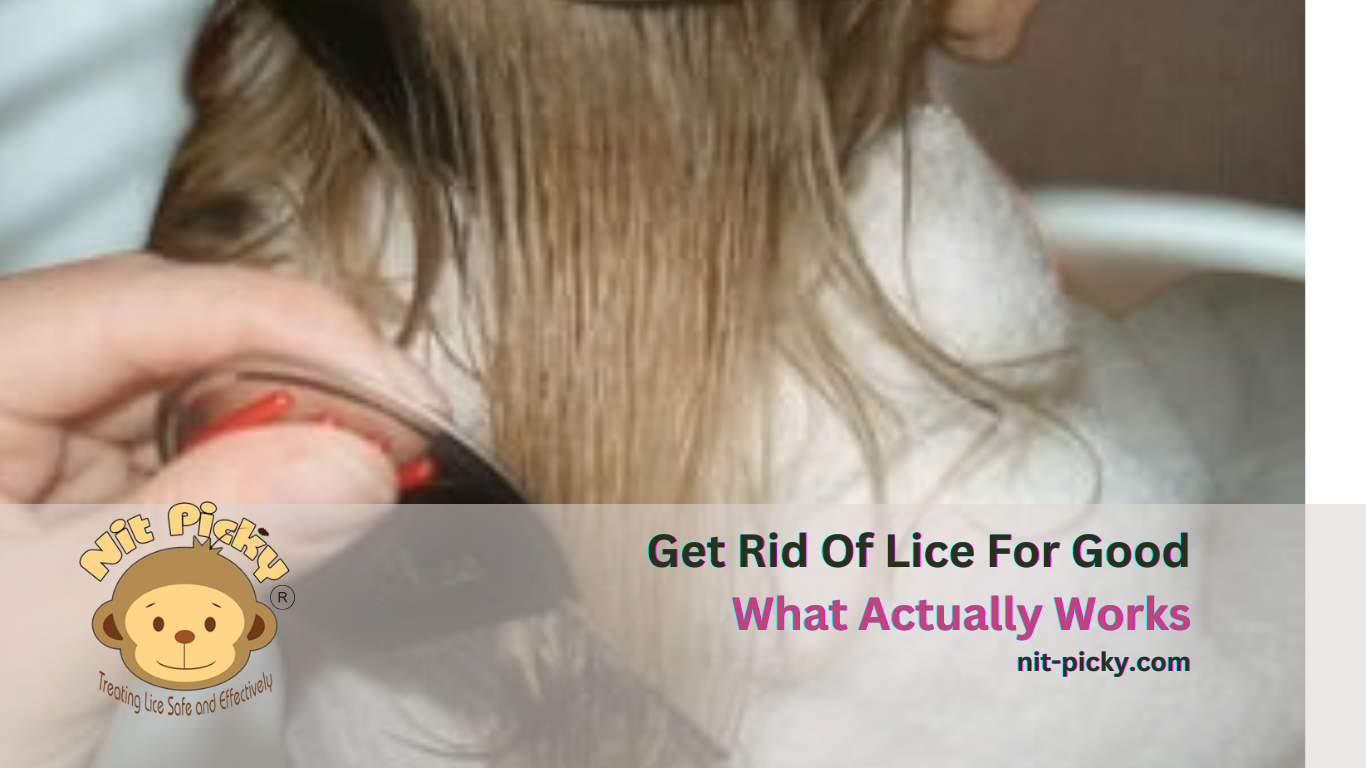 Young girl getting her hair professionally combed with a lice comb.