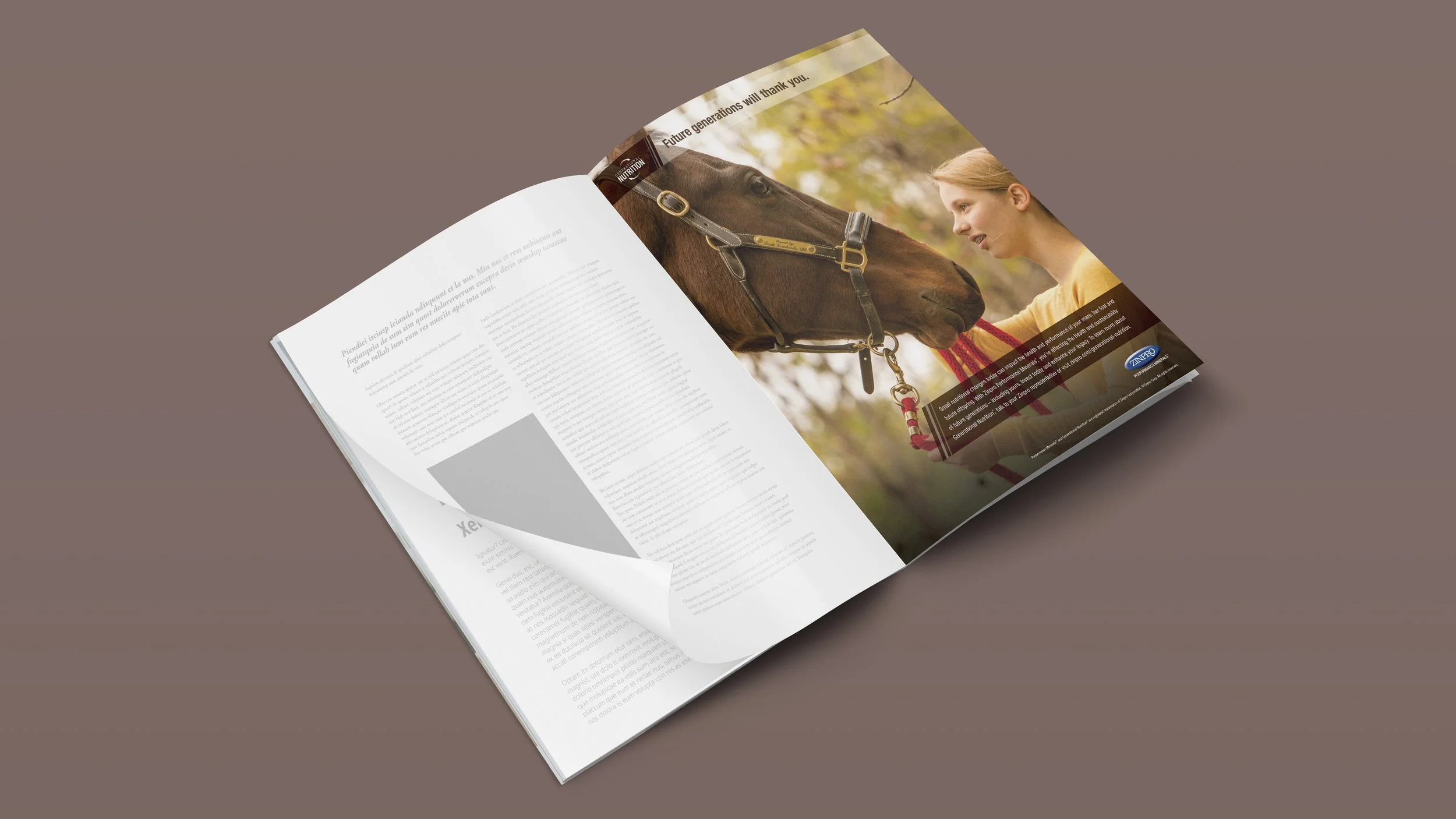 598-1664C GN Print Ads - Equine_redesign mockup.jpg