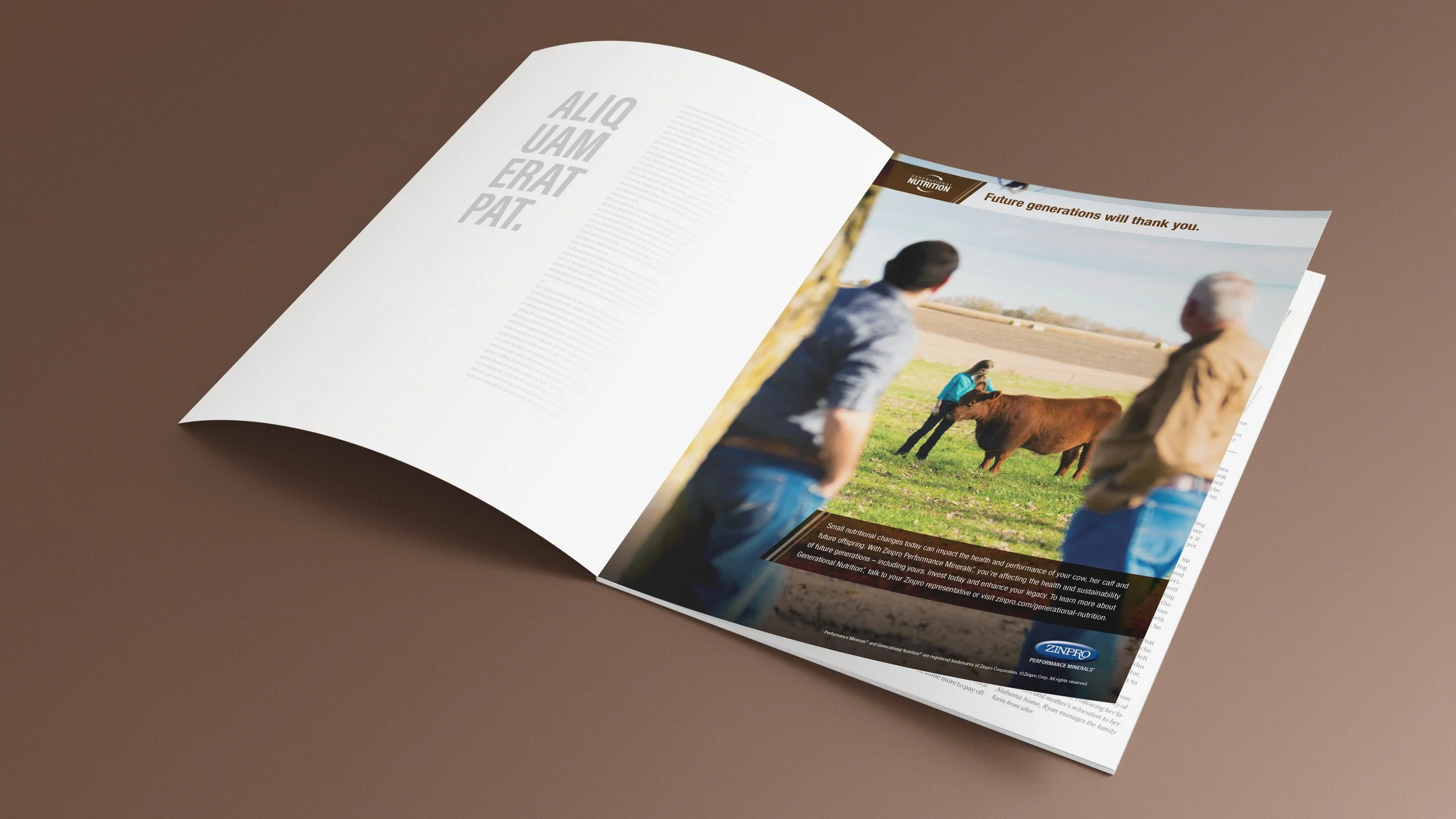 598-1664A GN Print Ads - Beef_Redesign mockup.jpg