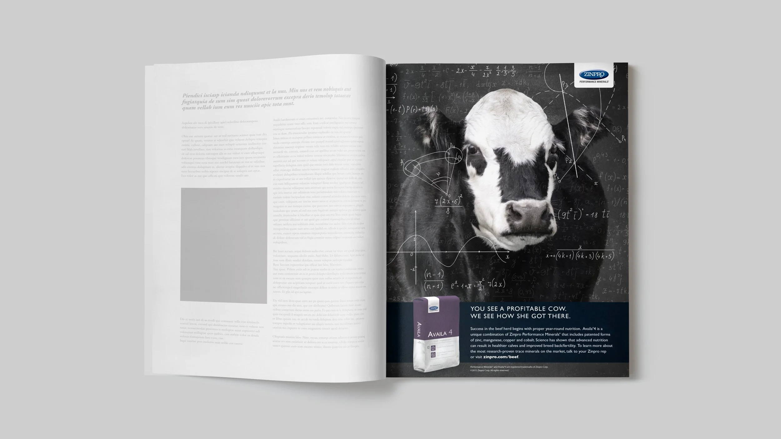 Single page print ad for Availa 4 for beef cattle.