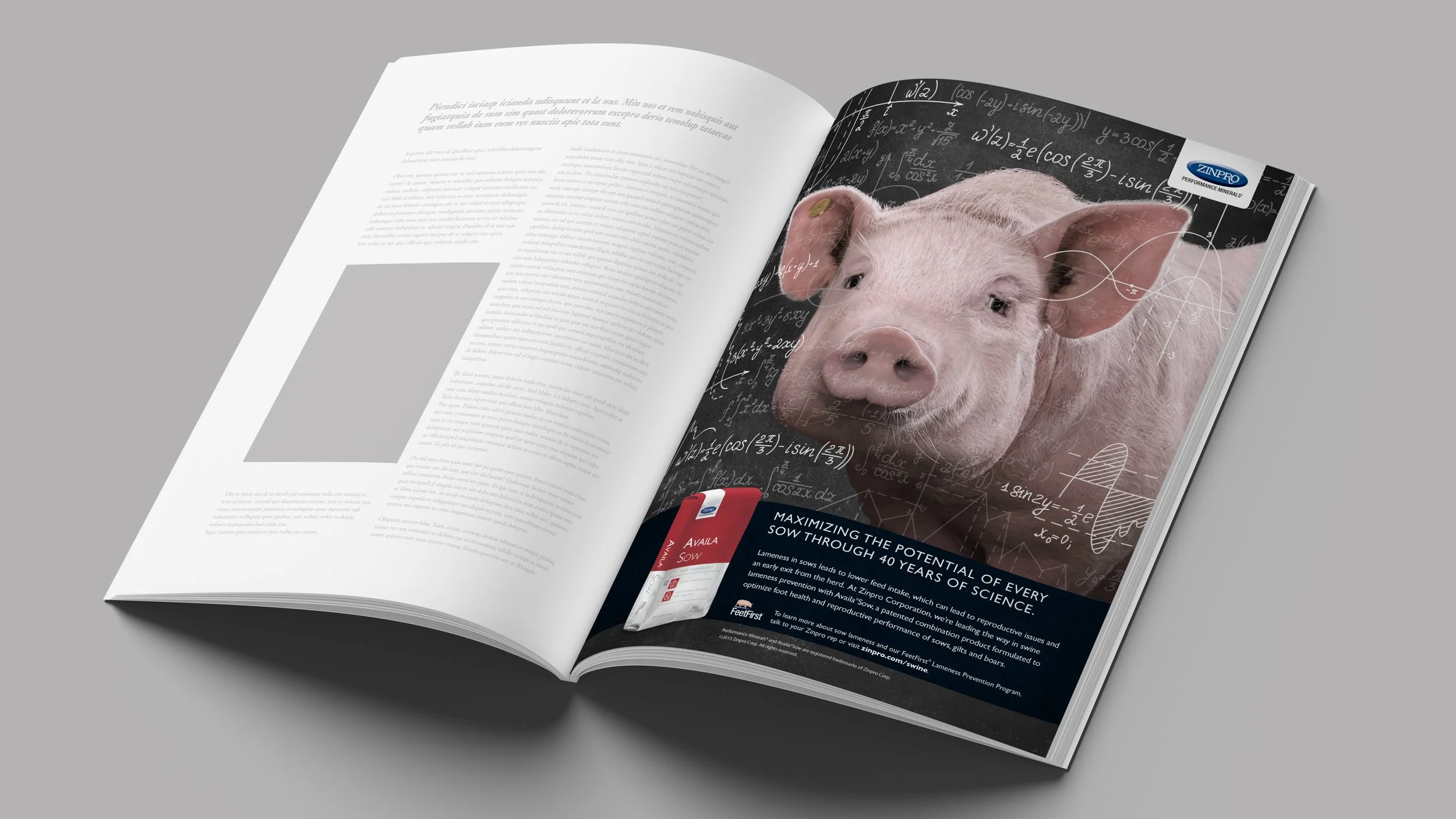 Single page print ad for Availa 4 for swine.