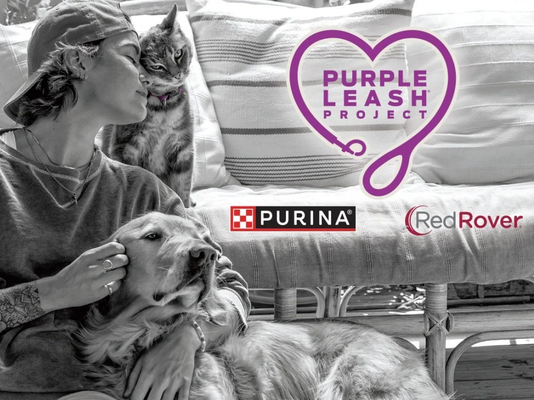 pg_nestlepurina_63777_640x384.jpg