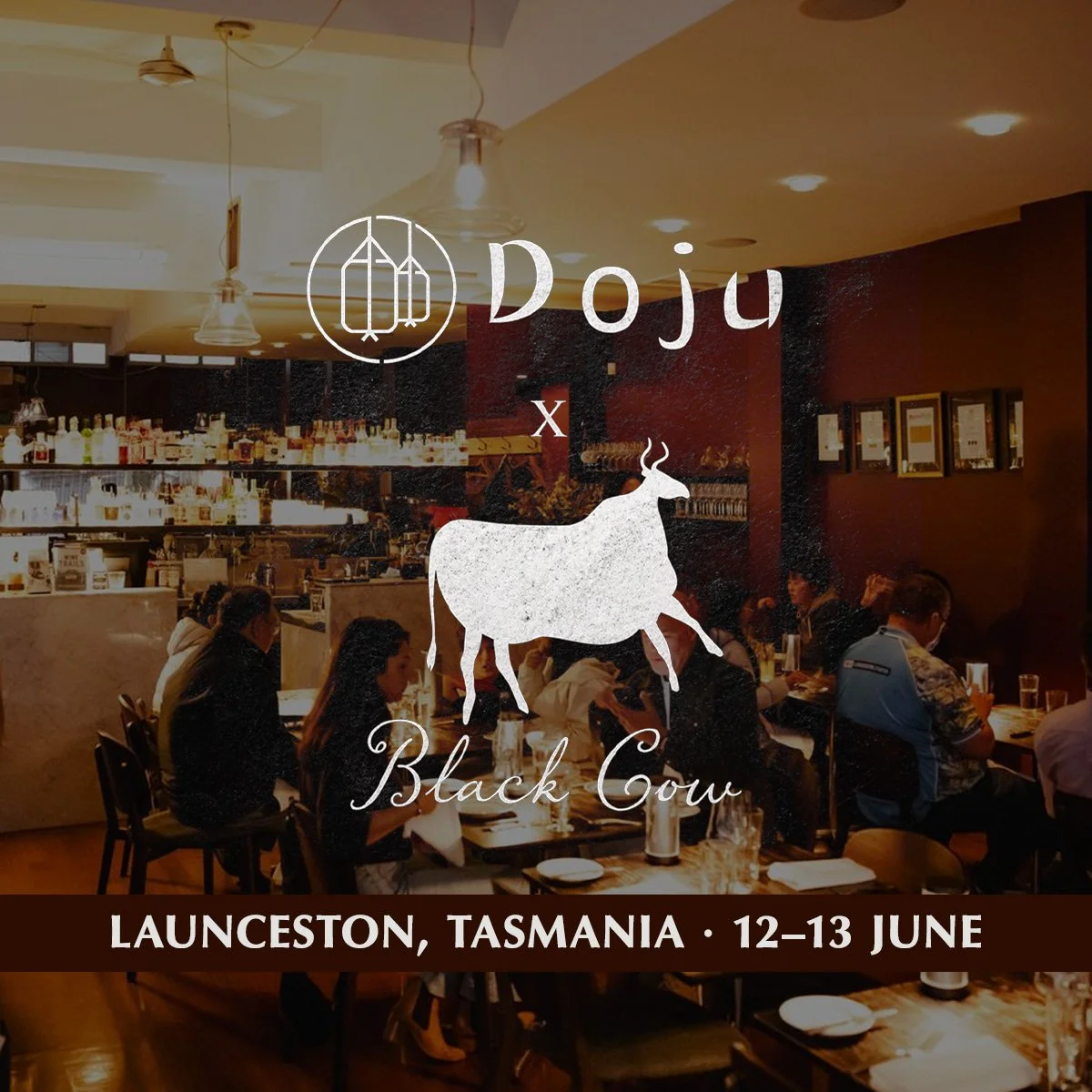 Black-Cow-Doju-Launceston-1.jpg