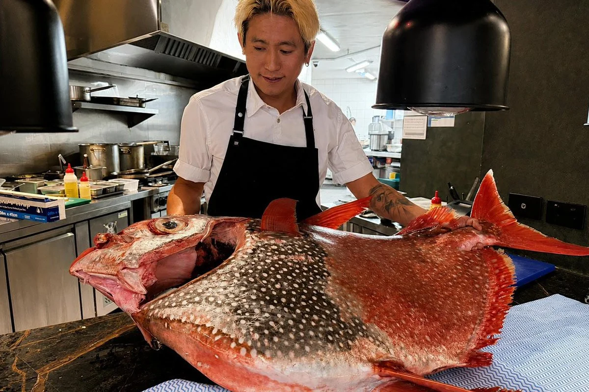 Chef Mika Chae and 45kg Moon Fish