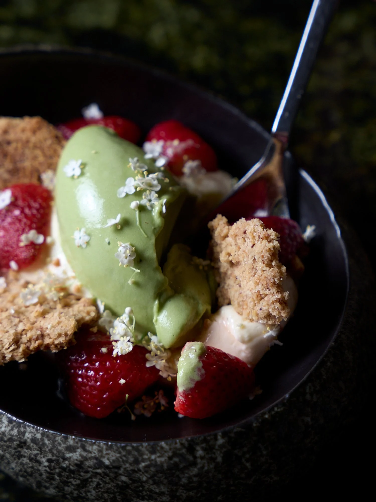 2025 - Sorrel sherbet