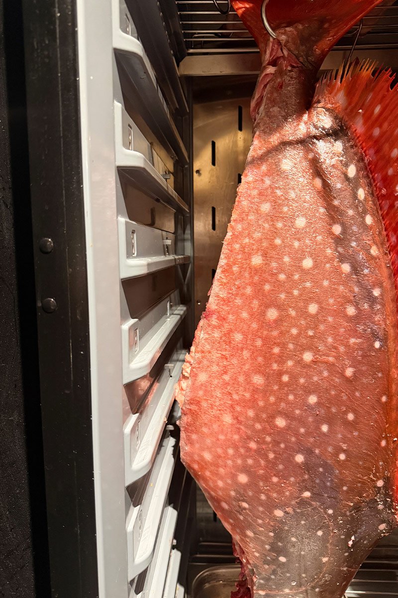 45kg Moon fish at Doju