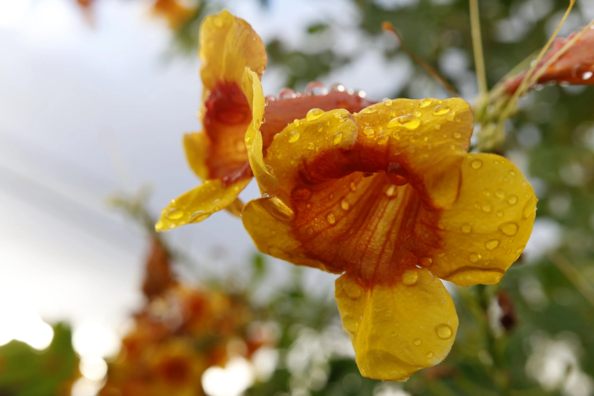 Rainy Saturday Morning