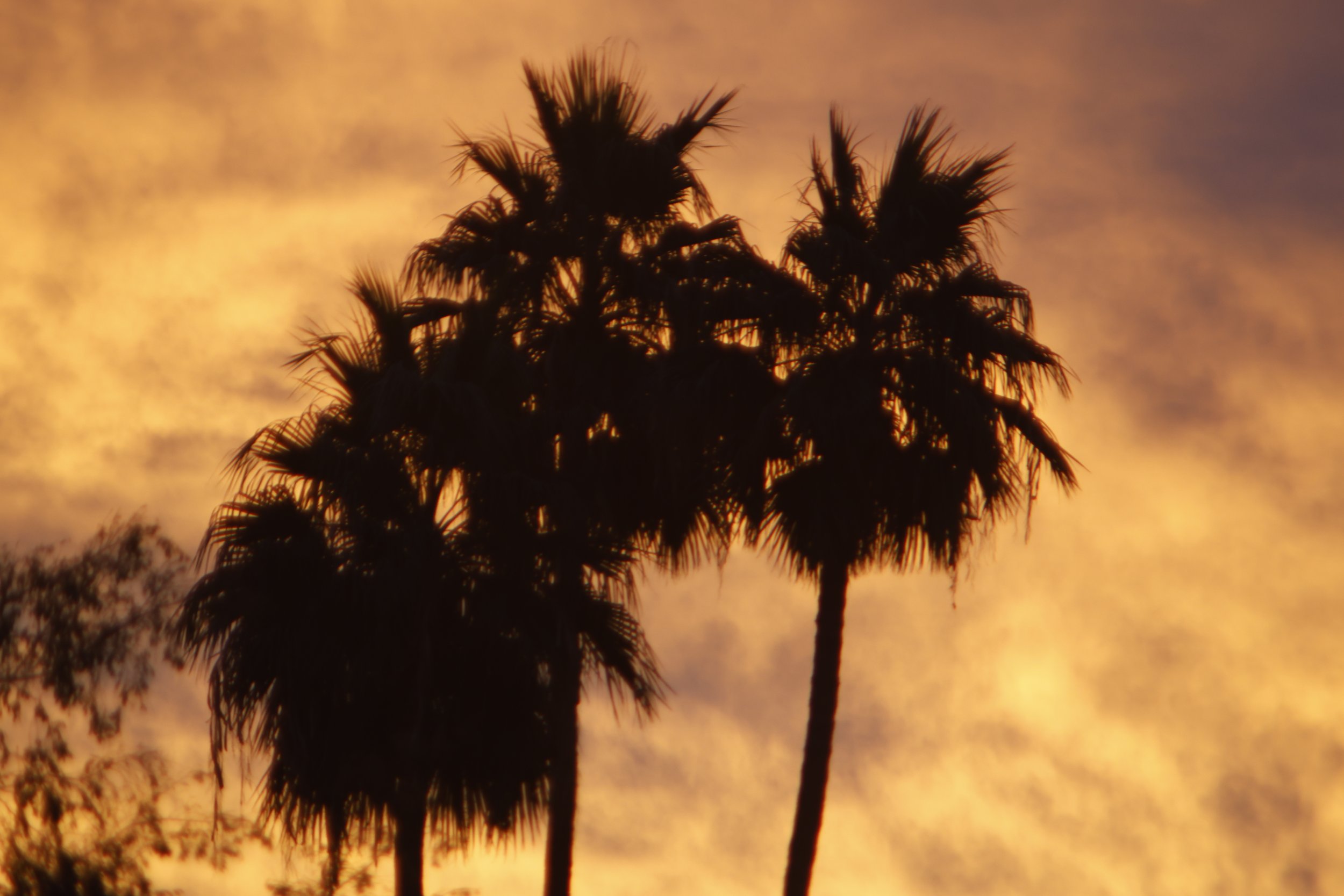 New life for an old lens