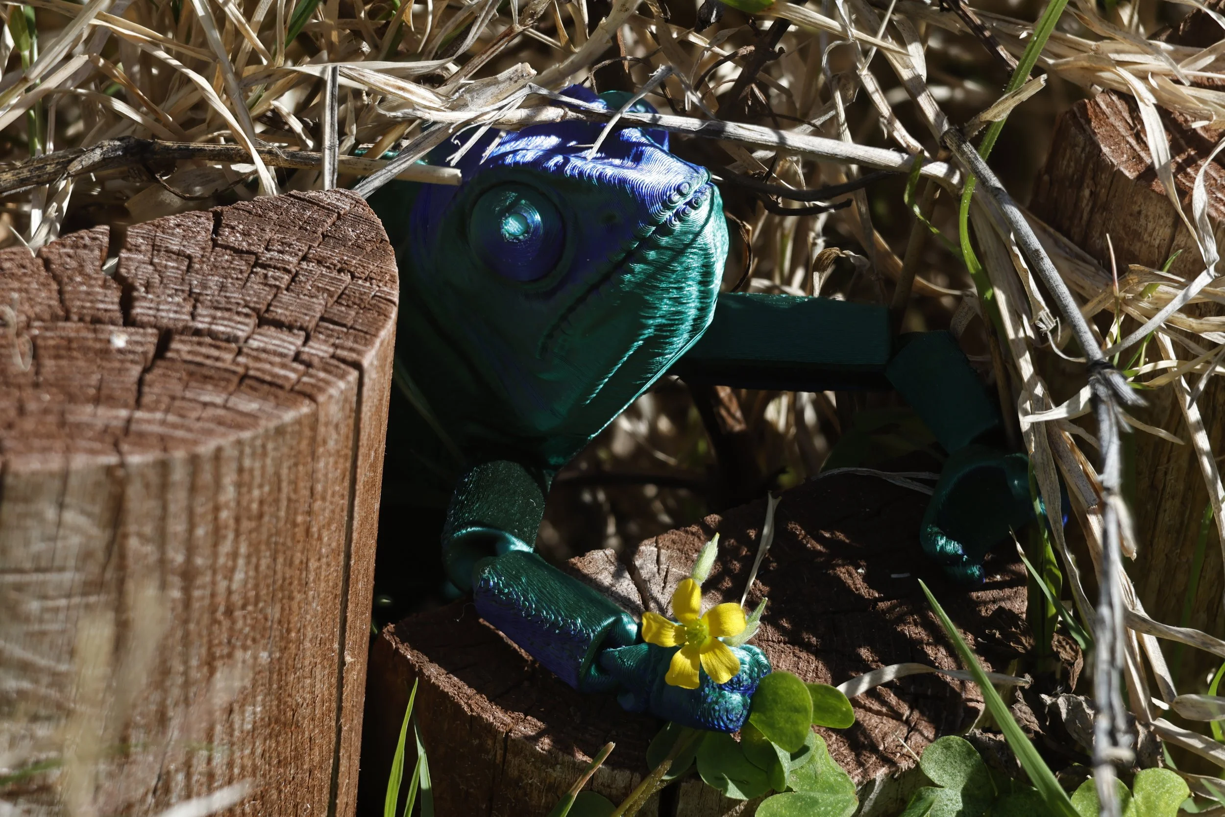 Mossy’s Adventures - Part one