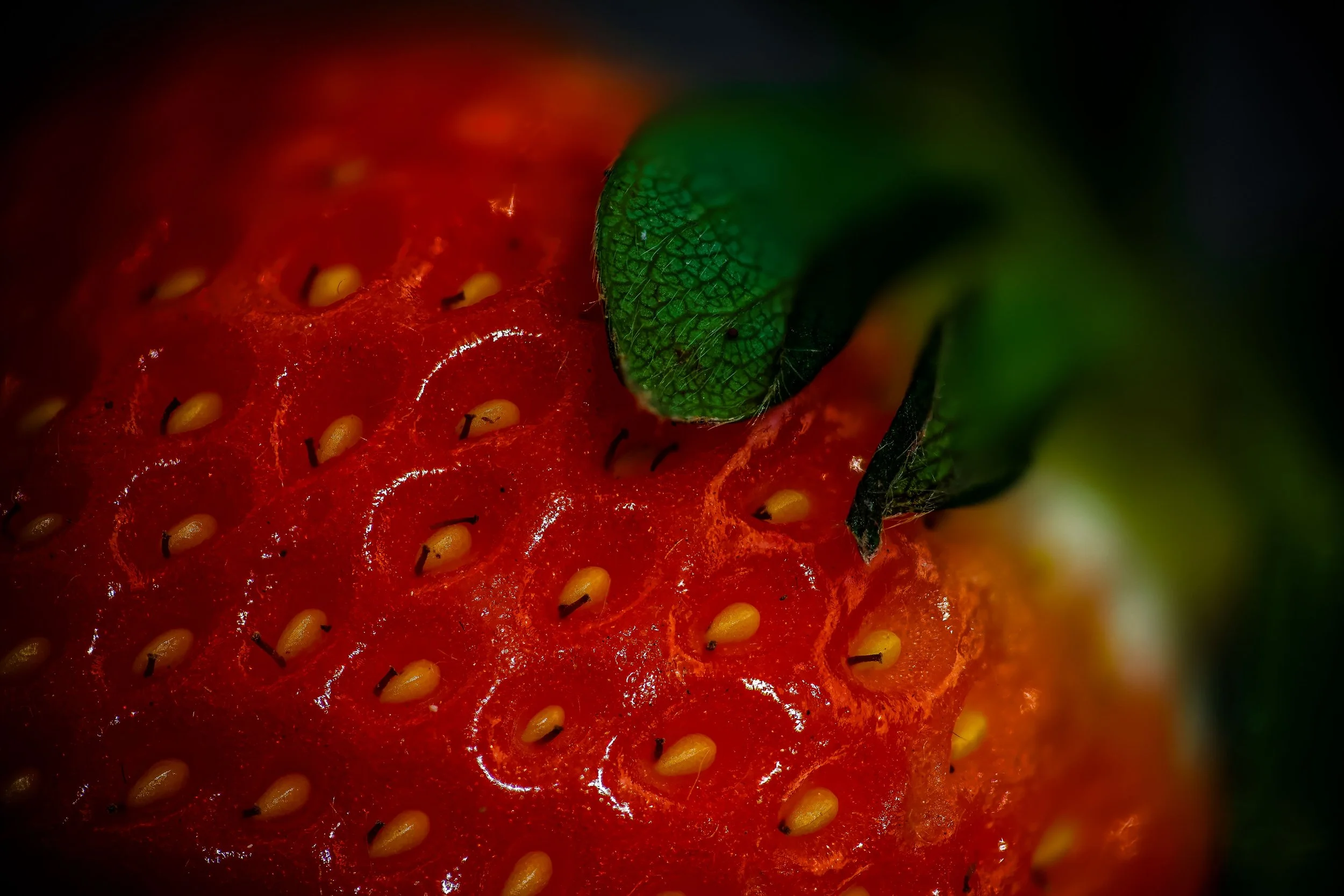 Macro Strawberries