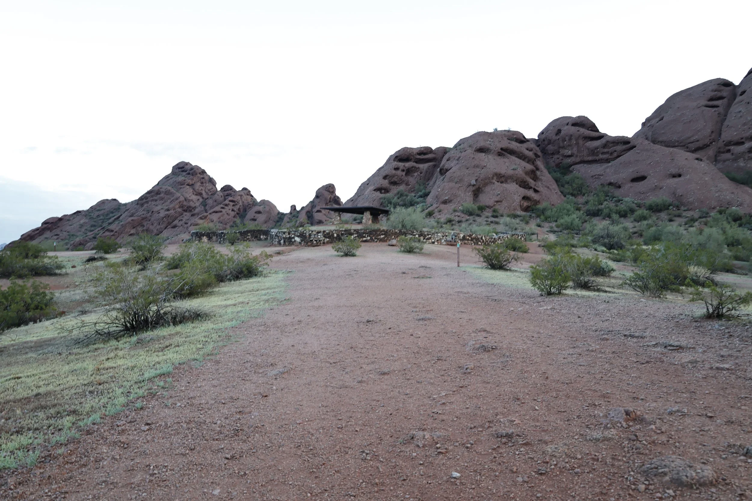 _MG_0164.JPG