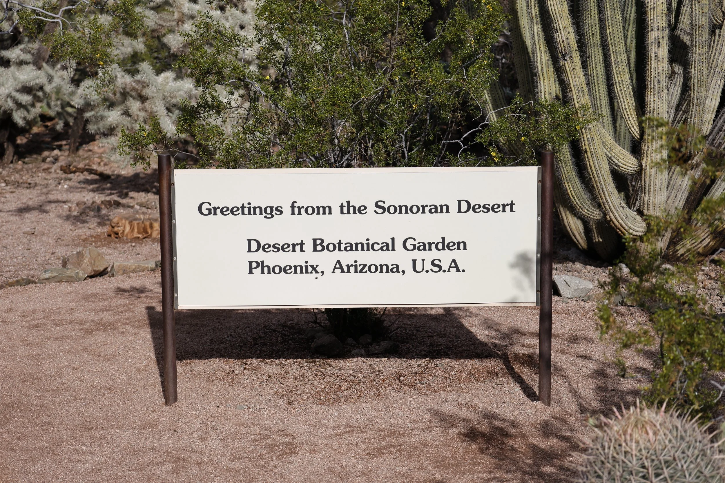 Tour of the Desert Botanical Garden