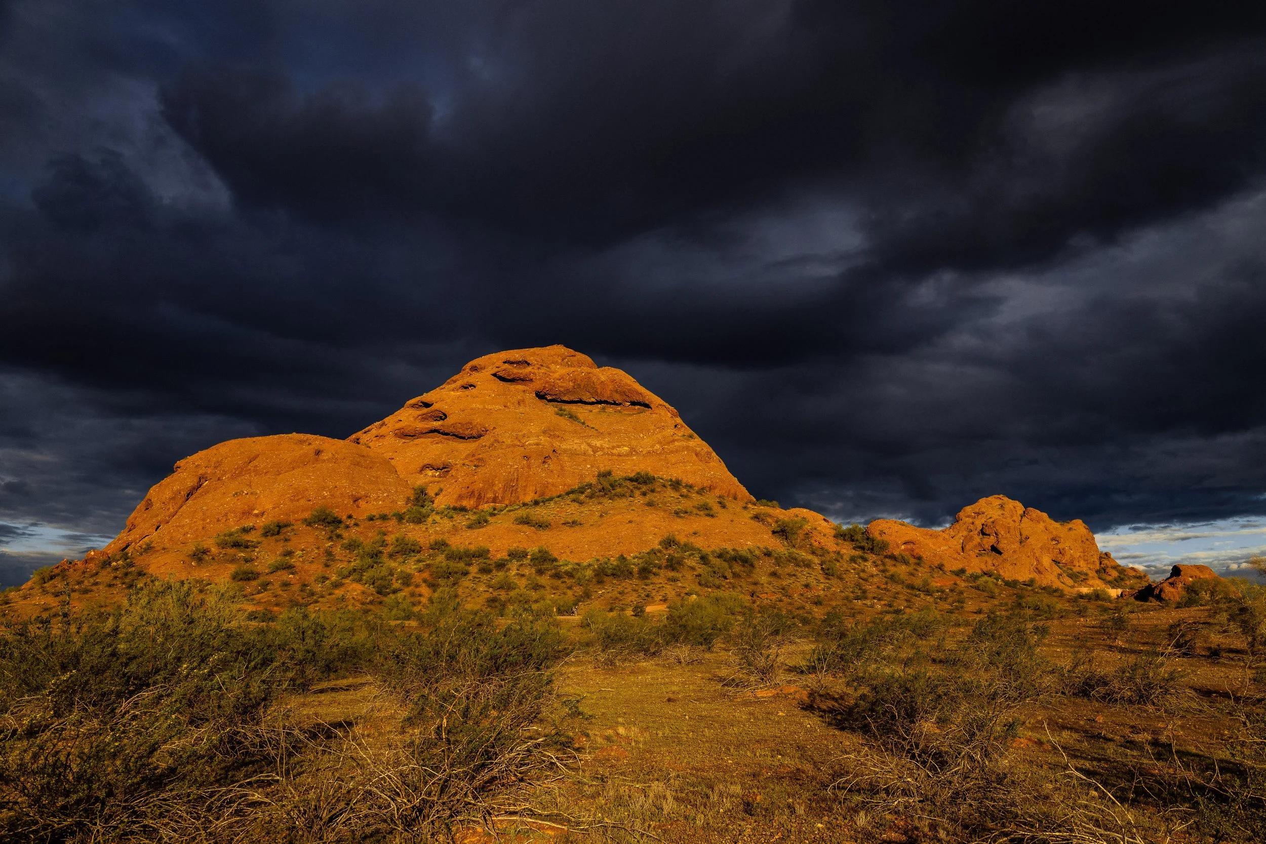 Beautiful morning hike!