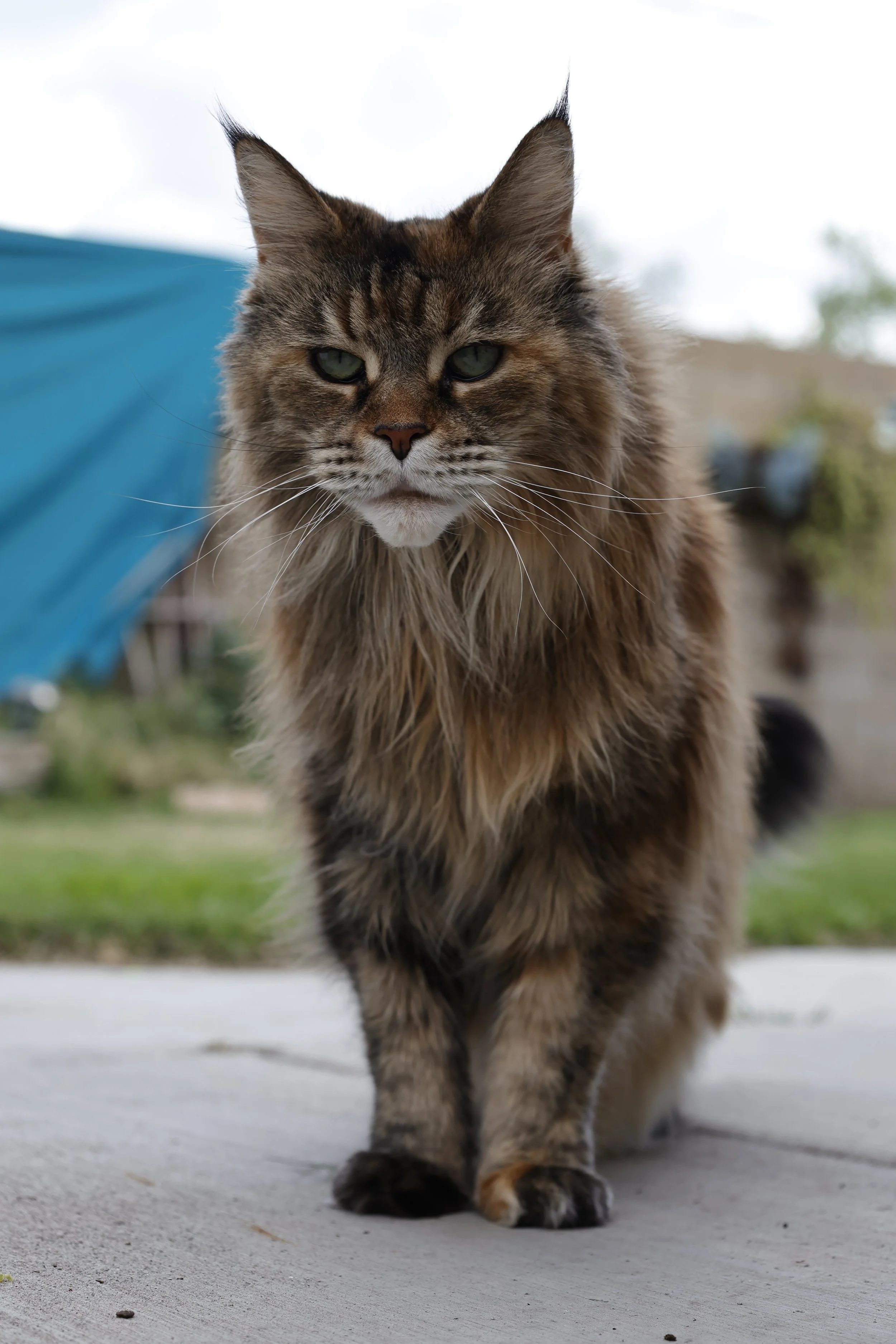 Scarletts birthday adventure!