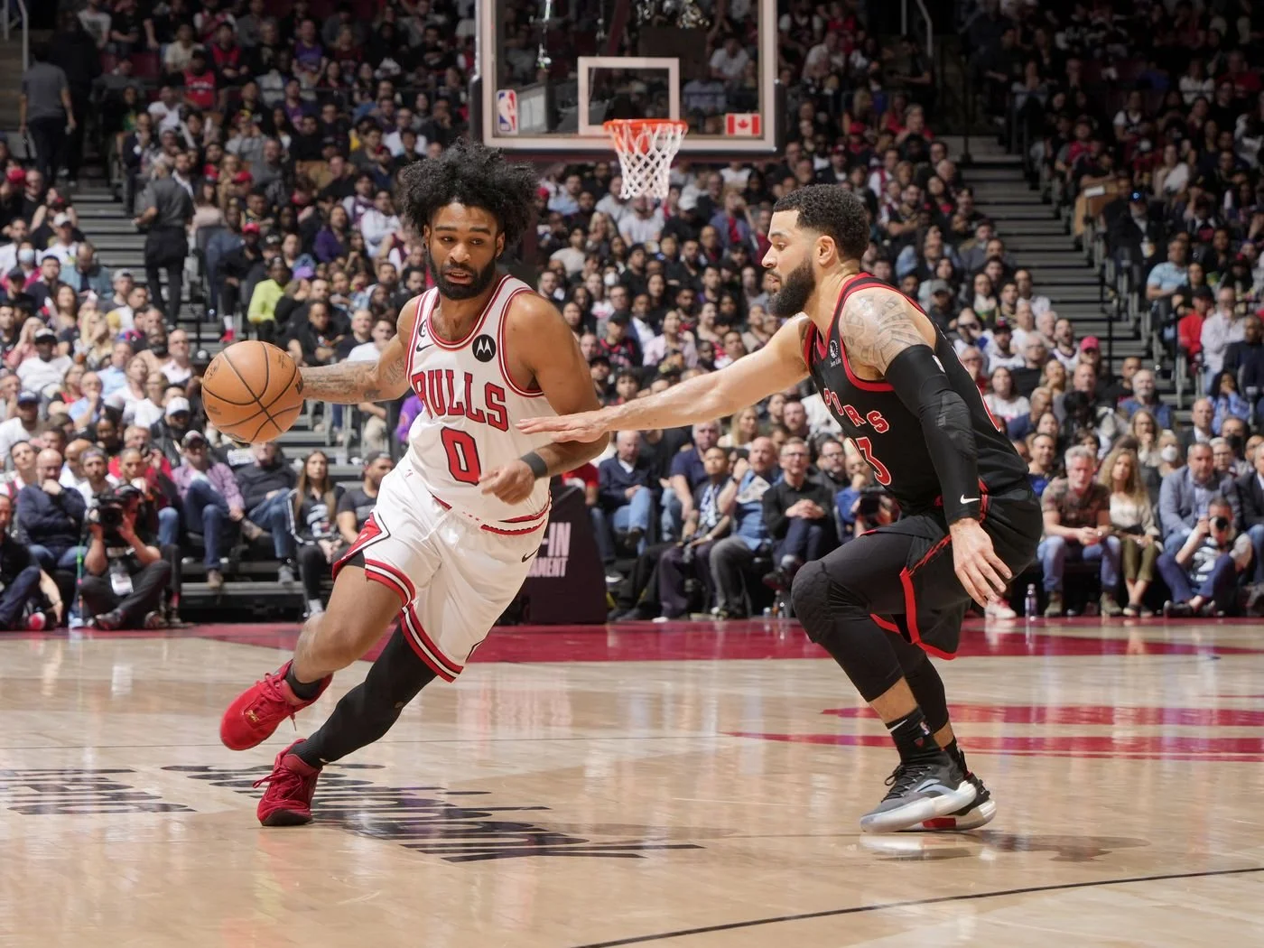 Can the Chicago Bulls Make the Playoffs?