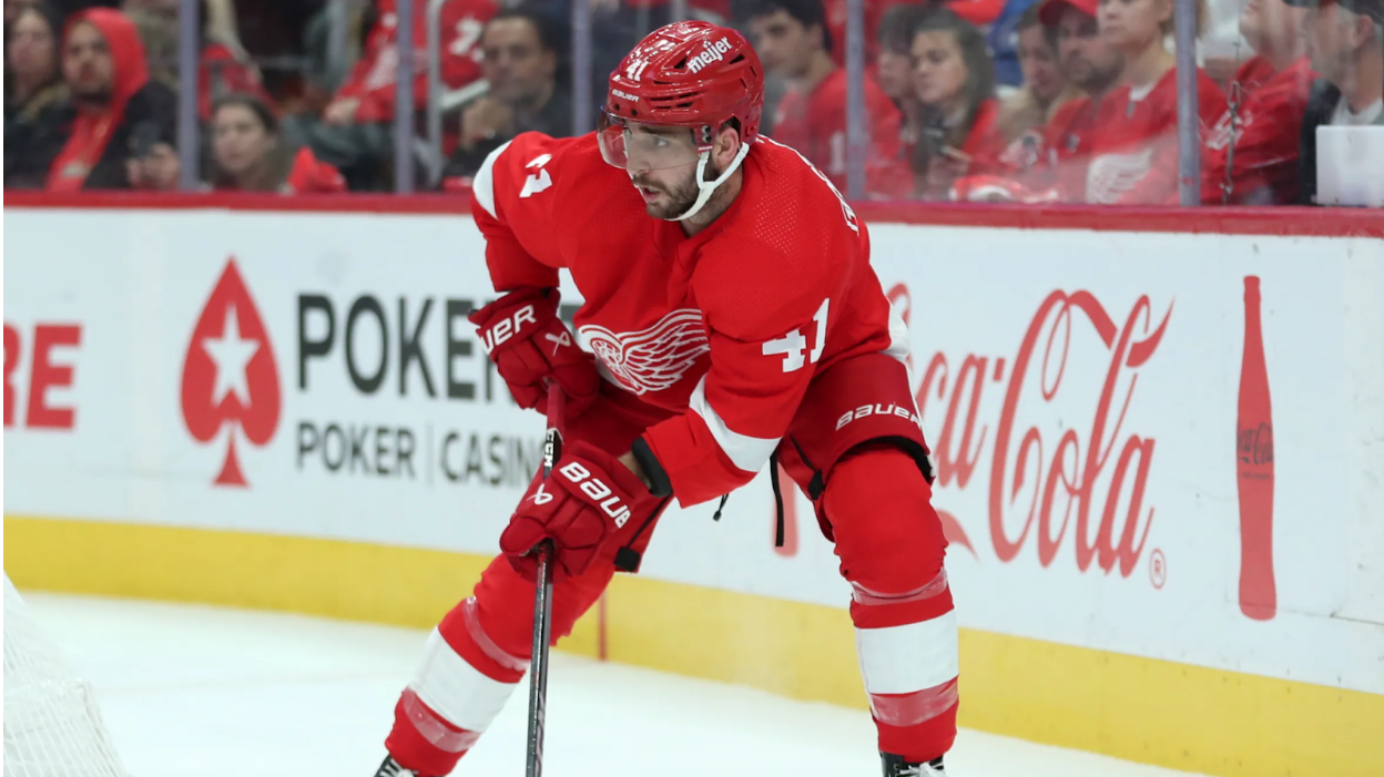 Former Red Wings Defenseman Signs with the Hurricanes&nbsp;