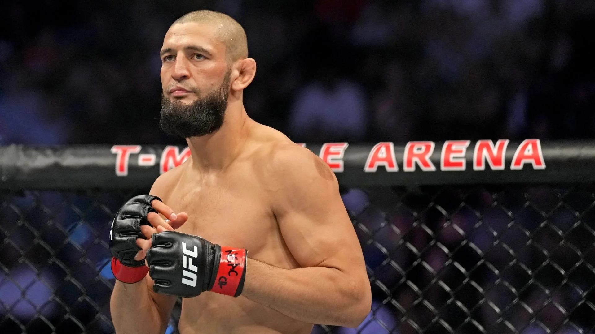 Should the UFC Make a Middleweight Interim Title Match?