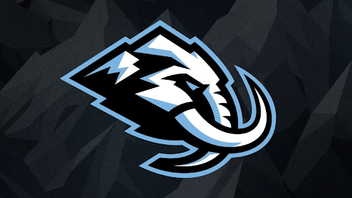 The Reasons Behind This NHL Team’s New Name
