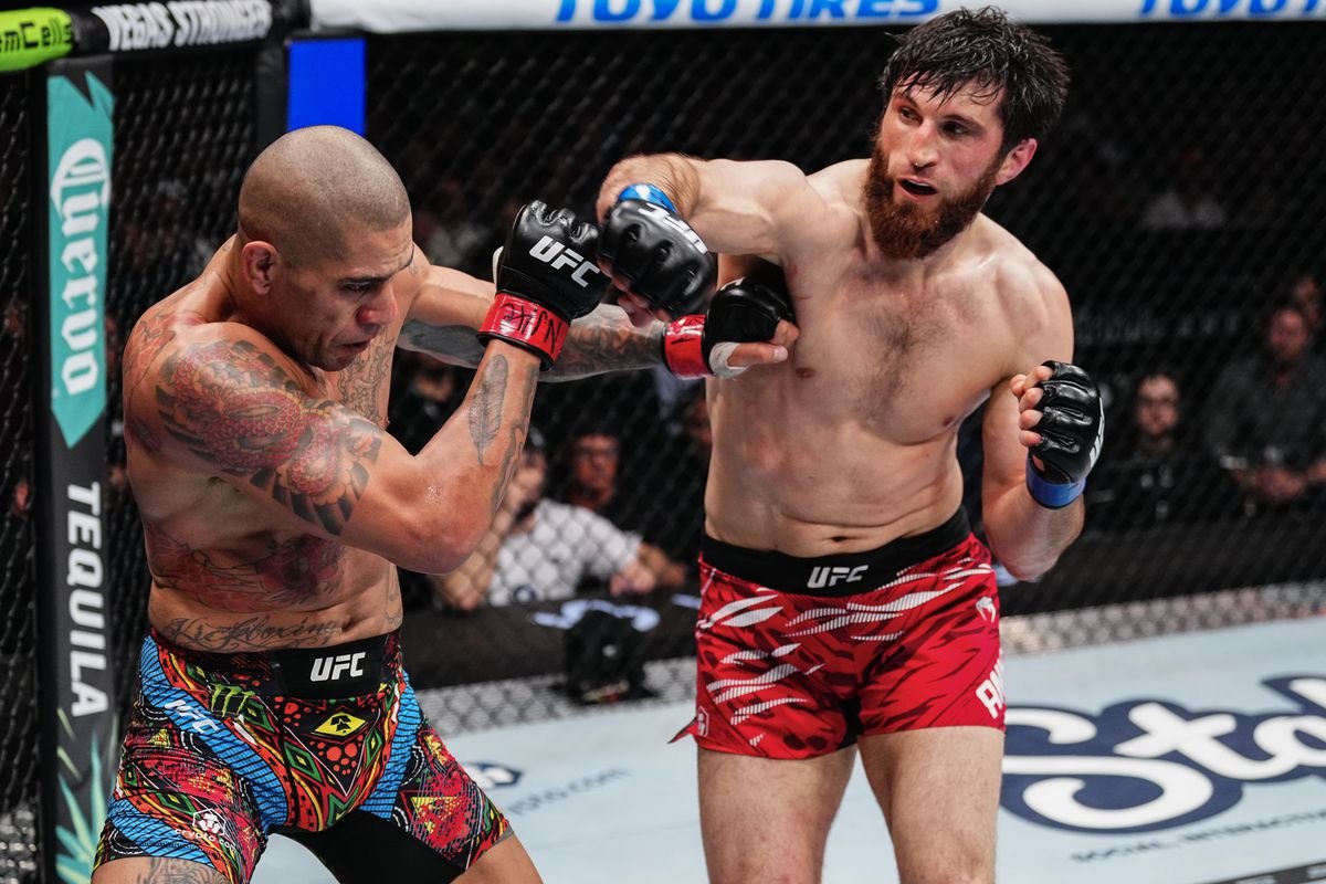 The Rematch of UFC 320: Ankalaev vs. Pereira