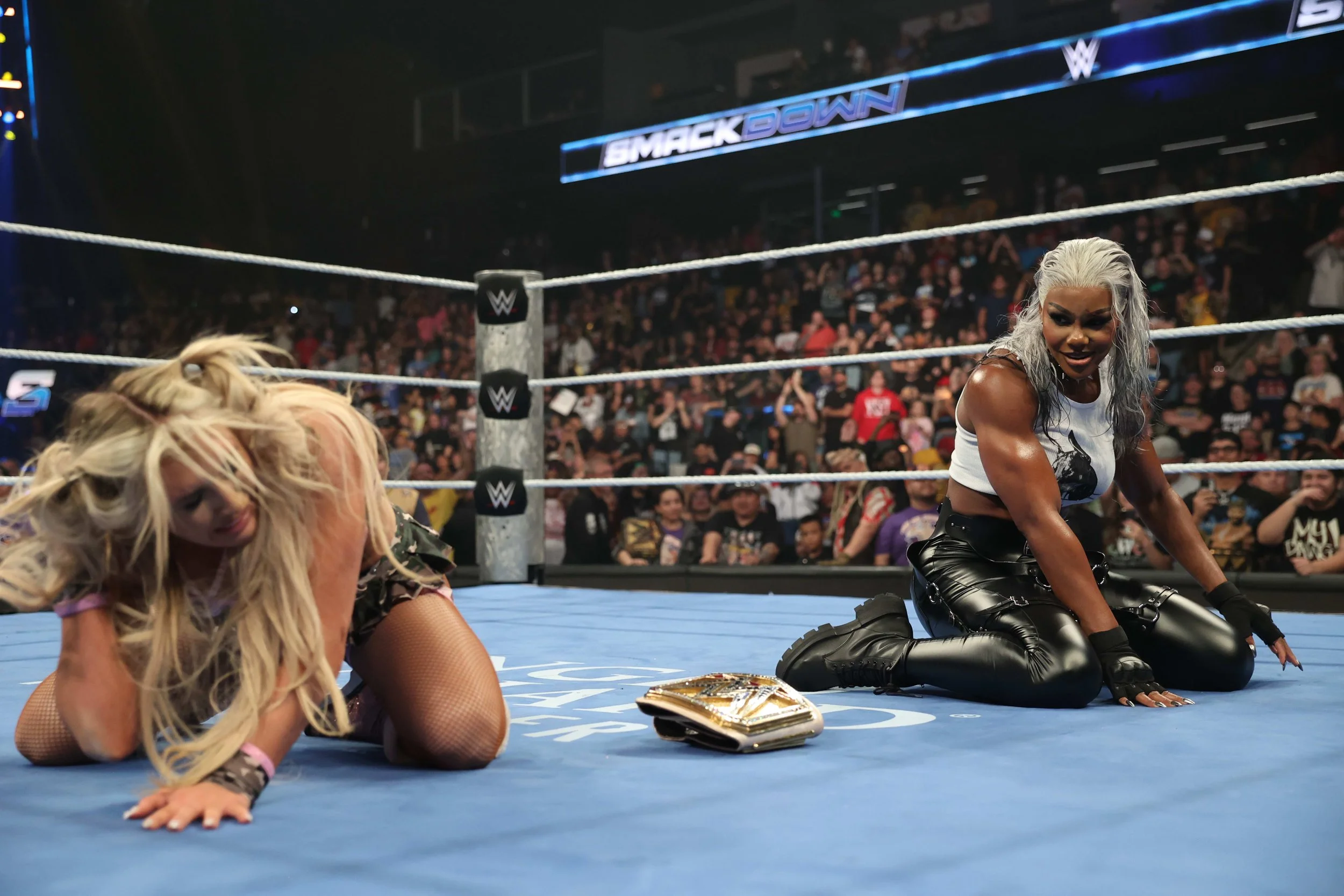 From Tag Gold to Singles Glory: Why a Former TBS Champion Should Win the WWE Women's Championship