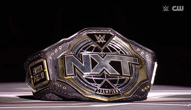 Who Should Become the Next NXT Champion?