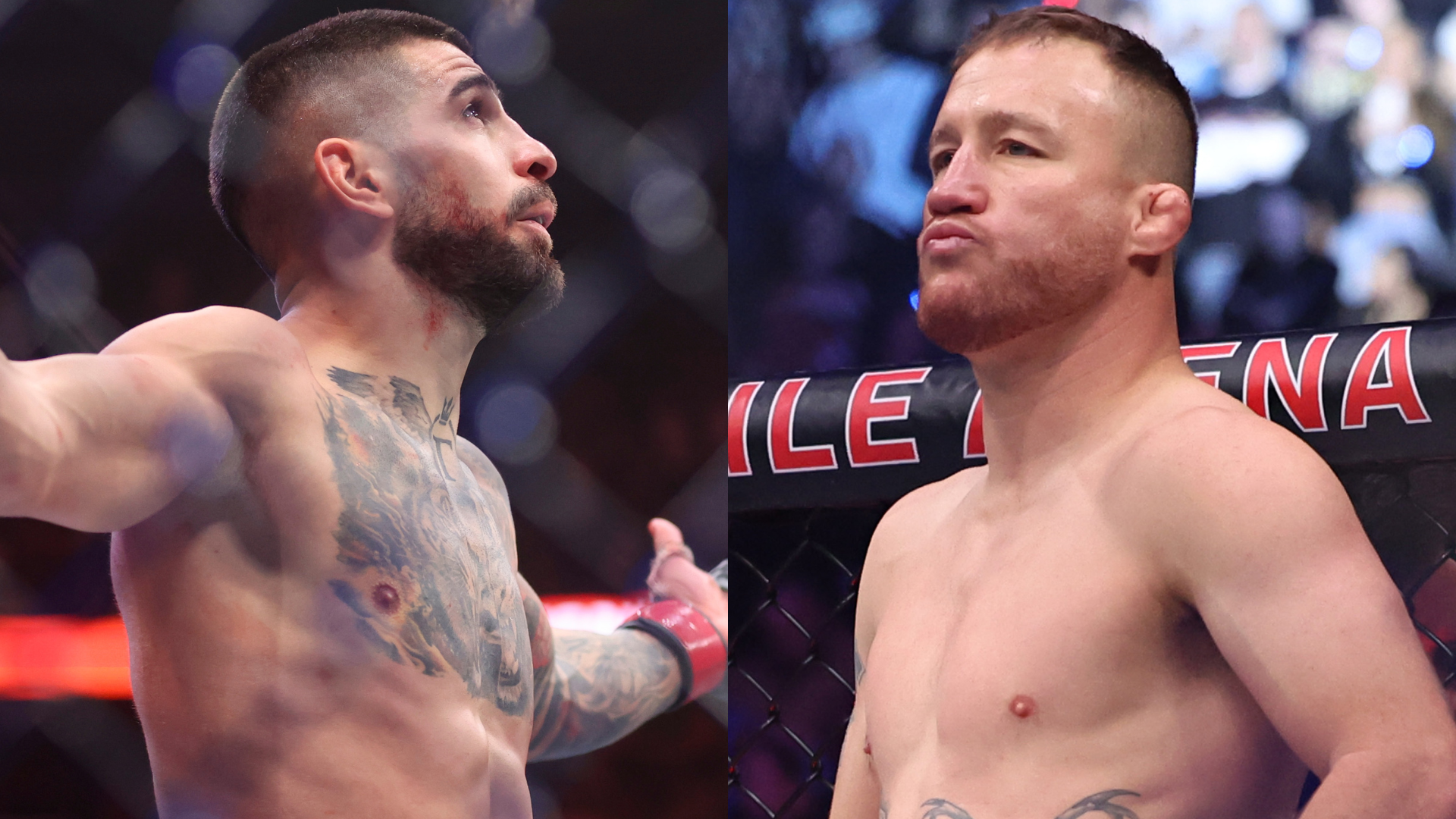 Are Fans Overreacting After the UFC White House Card Announcement?