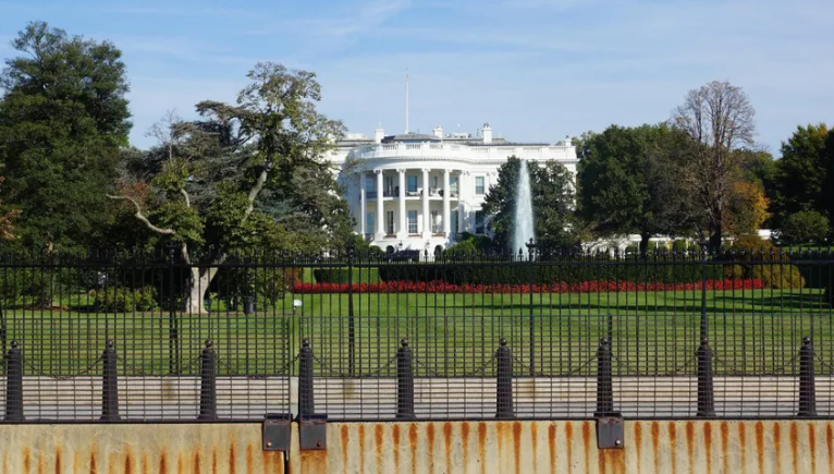 Is it Smart for the UFC to Give Out 85,000 Free Tickets for the UFC Freedom 250 Card?