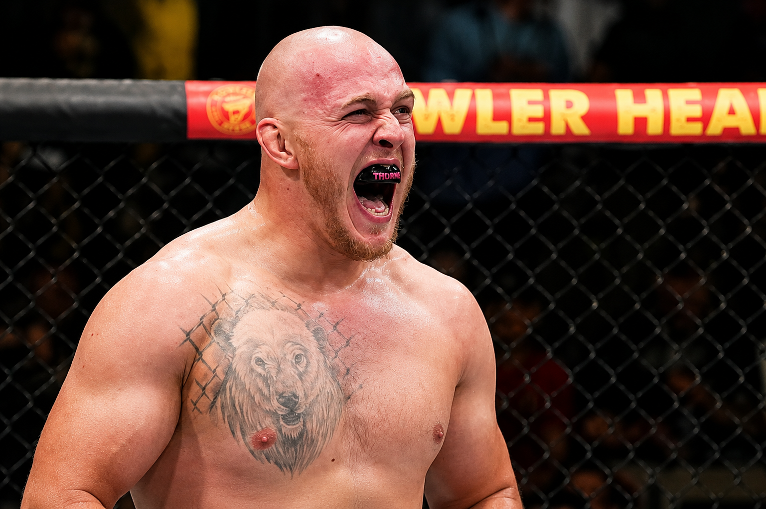 ‘Polar Bear’ Ready to Bring the Pressure Against Petrino at UFC Fight Night 285