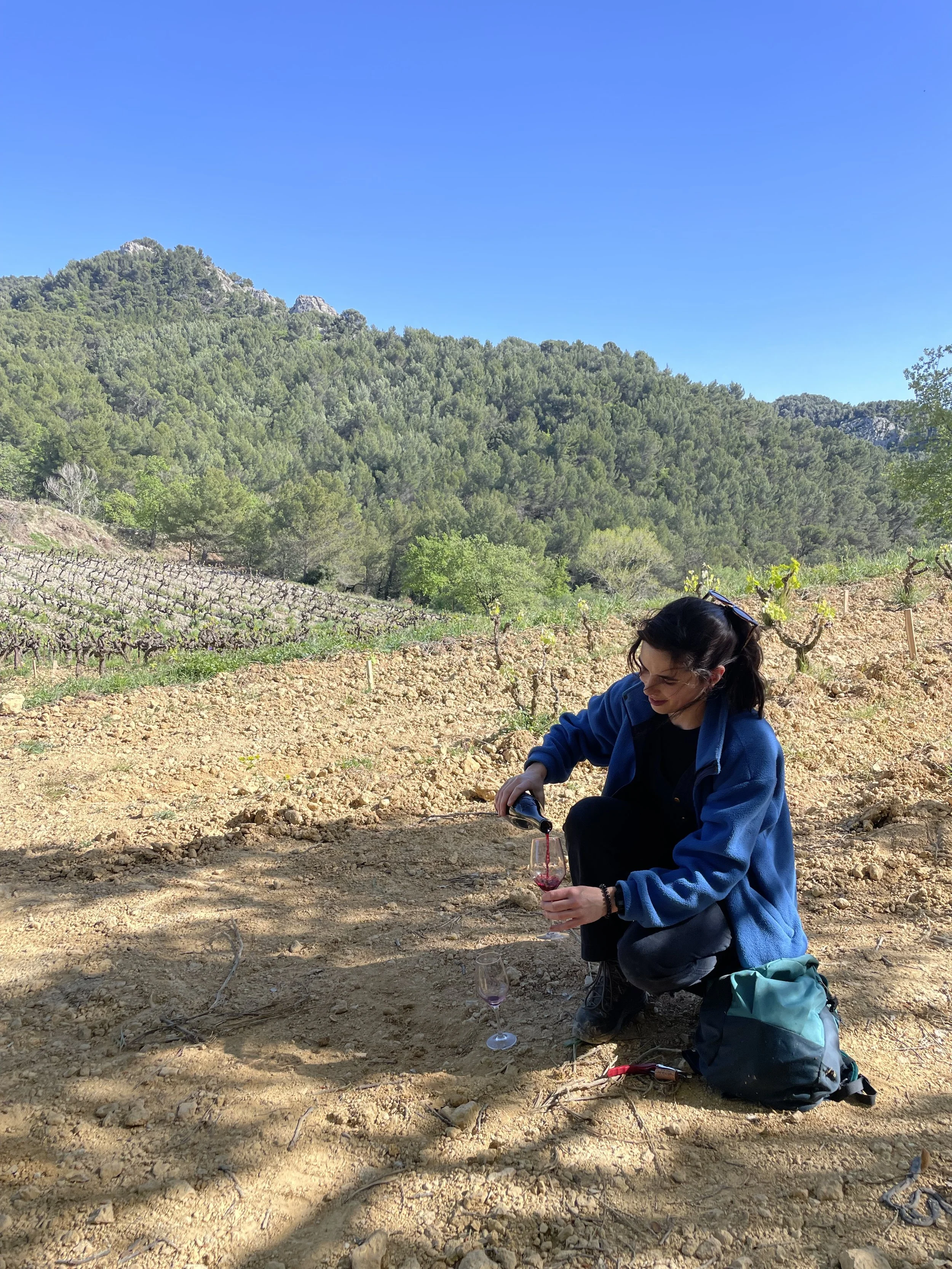 The first bottle of 2024 Gigondas 'Tradition' opened, in one of the vineyards under the Dentelles