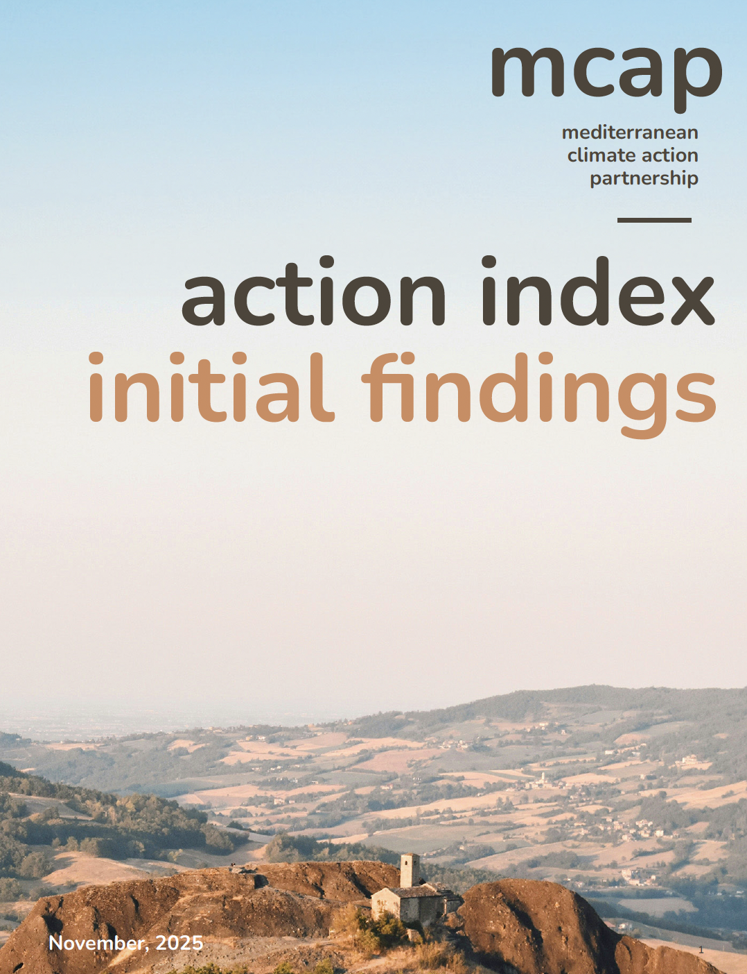 MCAP Action Index Initial Findings