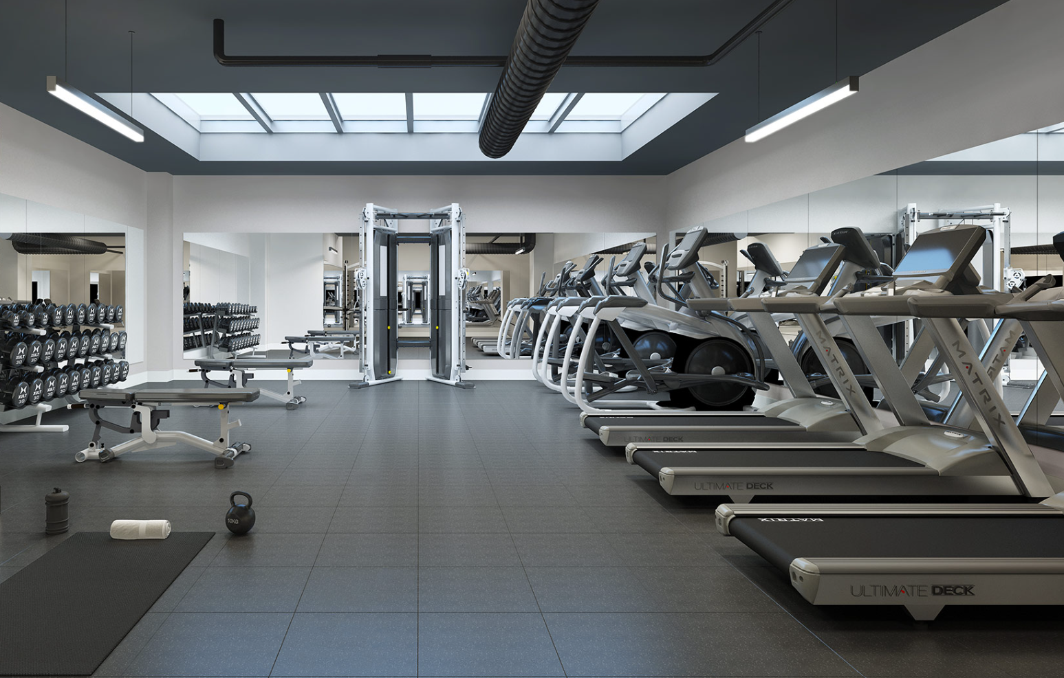 The Push Pull Legs Routine: Build Muscle Fast