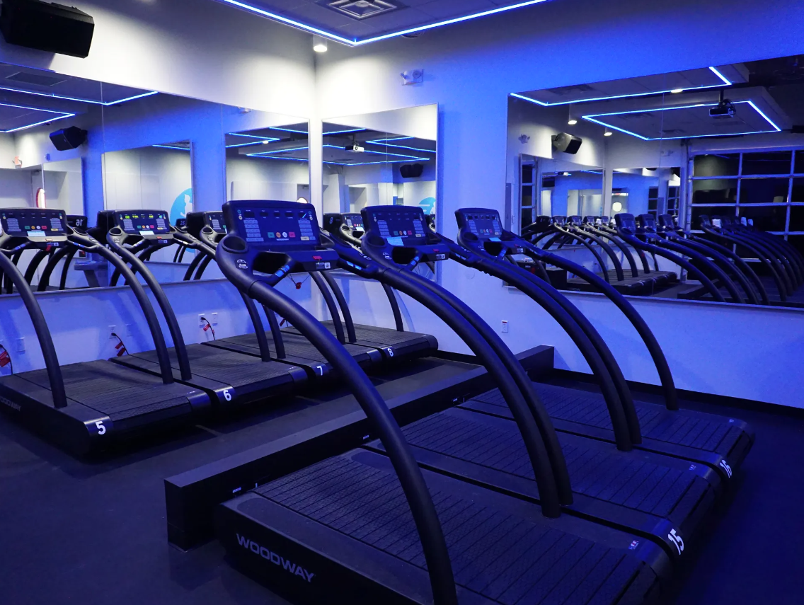 The 5 Best Treadmills for Weight Loss in 2024