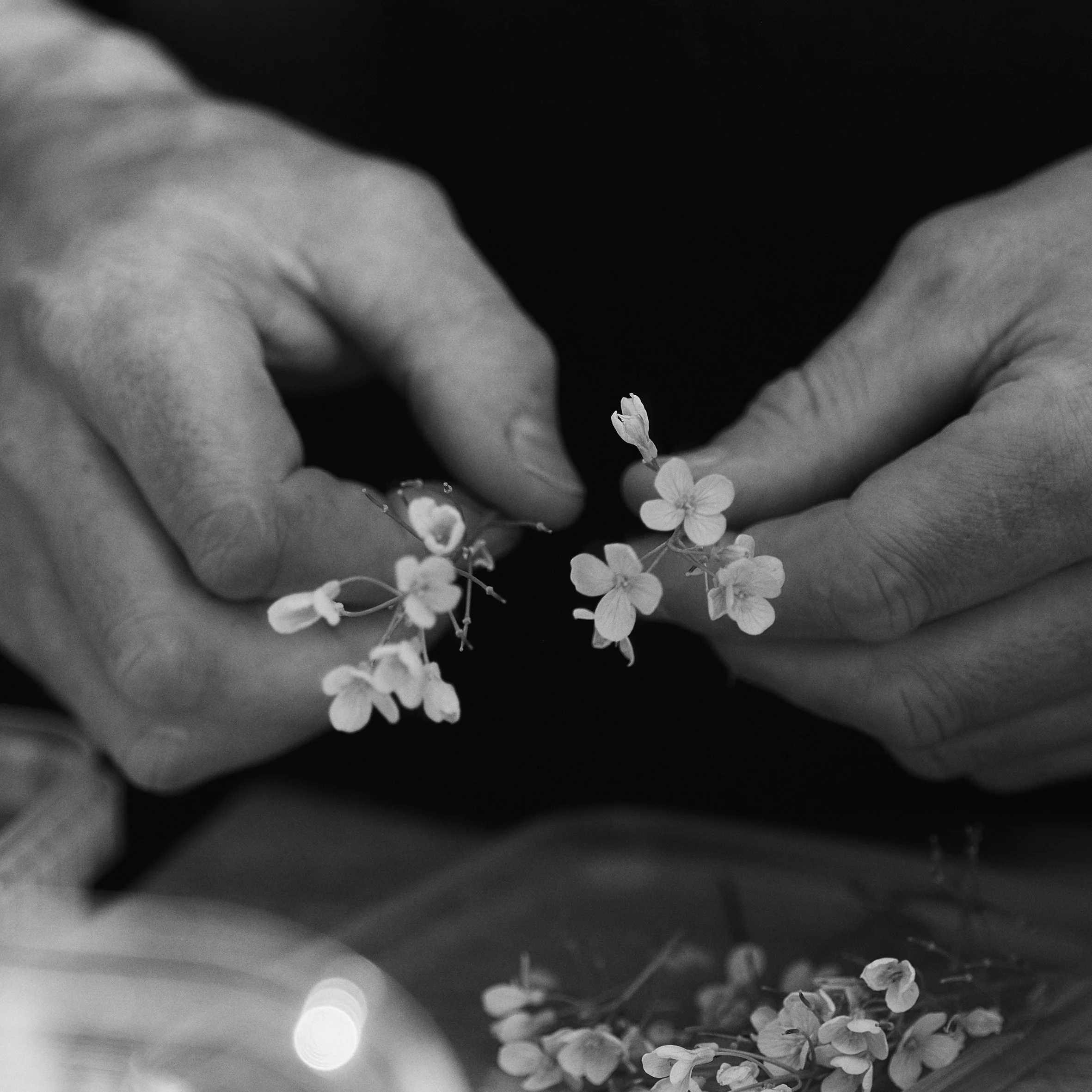 blomsterpynt_20.jpg