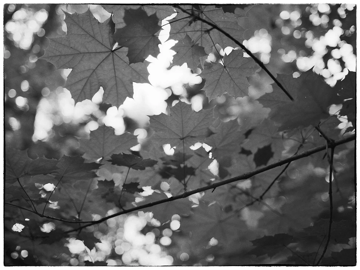 bw010.jpg