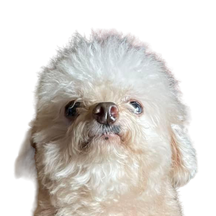 PhotoRoom_000_20230109_185423.png