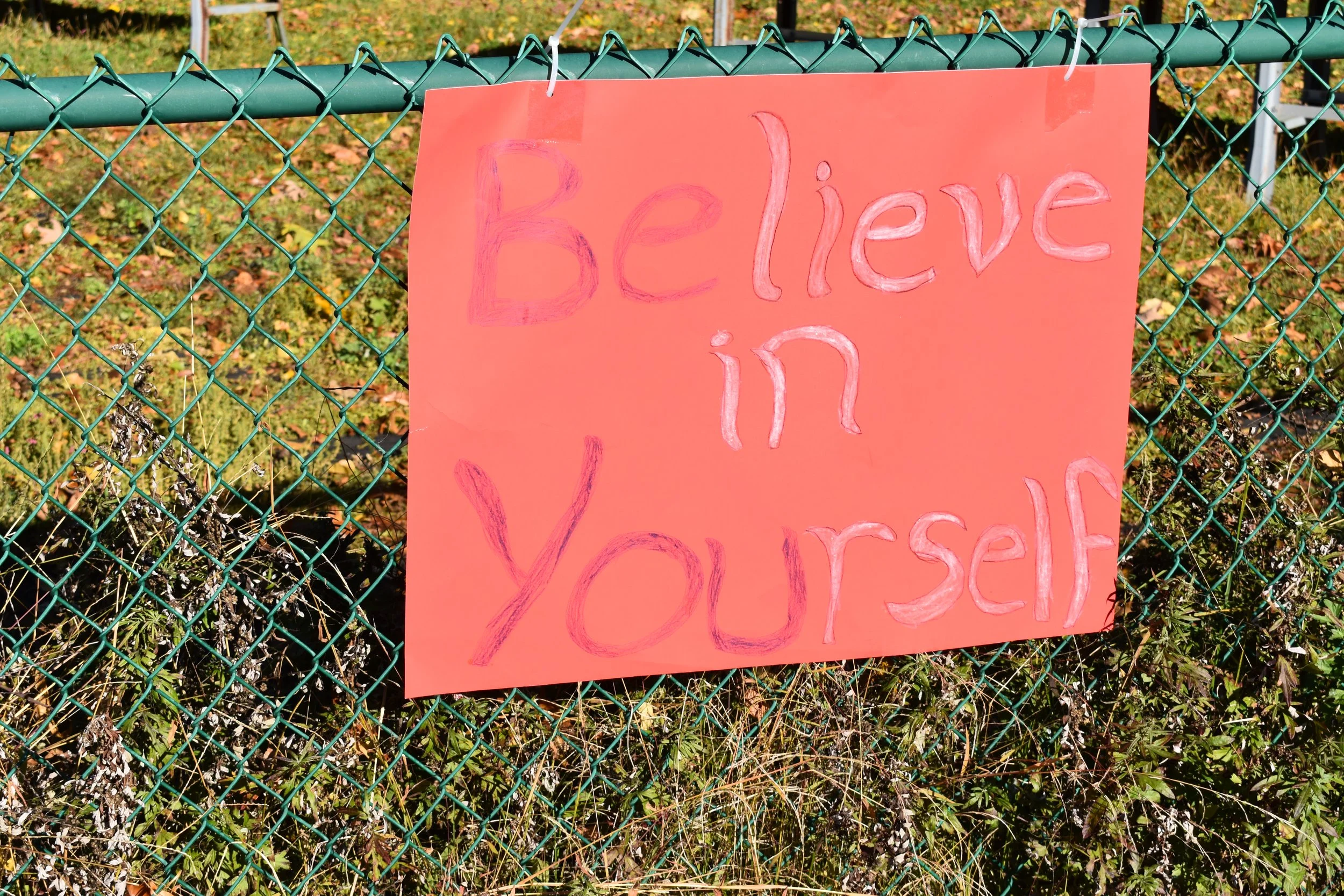 DSC_0334.JPG