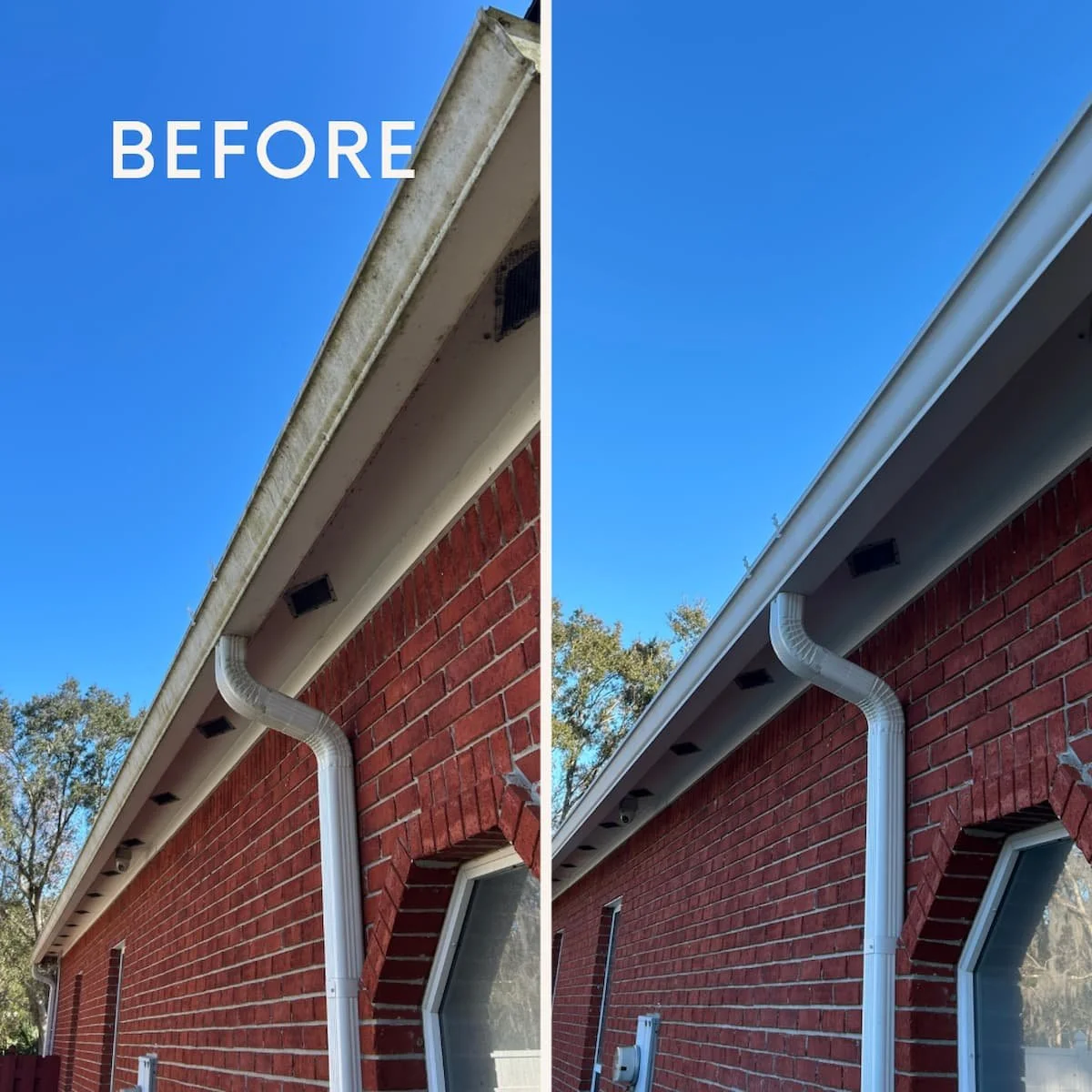 before-after-house-soft-washing-jacksonville-fl-state-line-pressure-washing.jpg