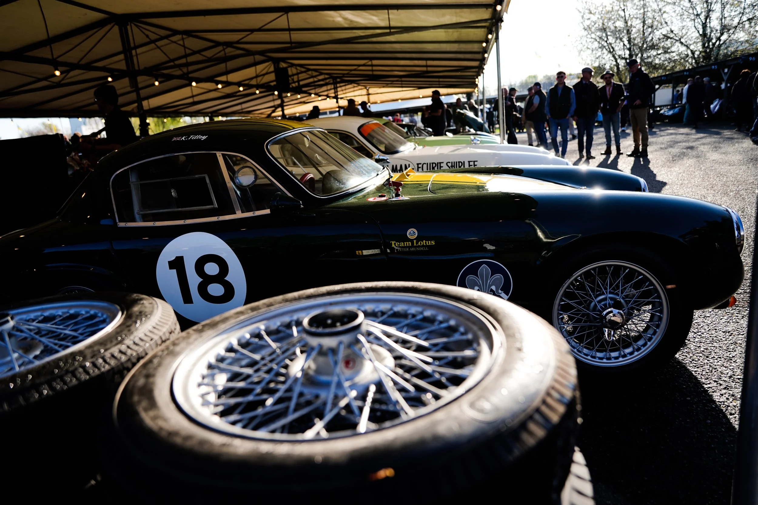 82nd Goodwood MM 206.jpg