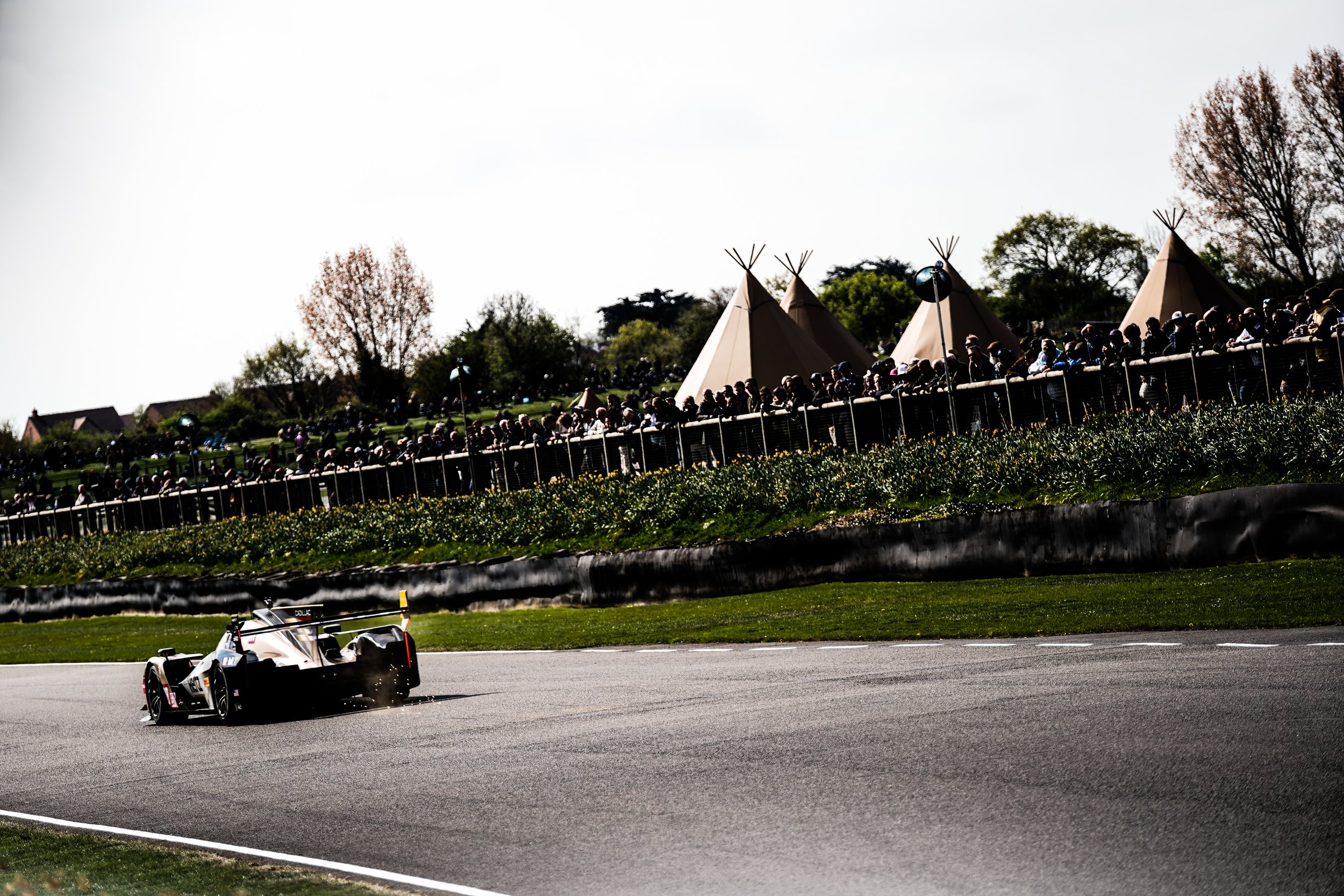 82nd Goodwood MM 292.jpg