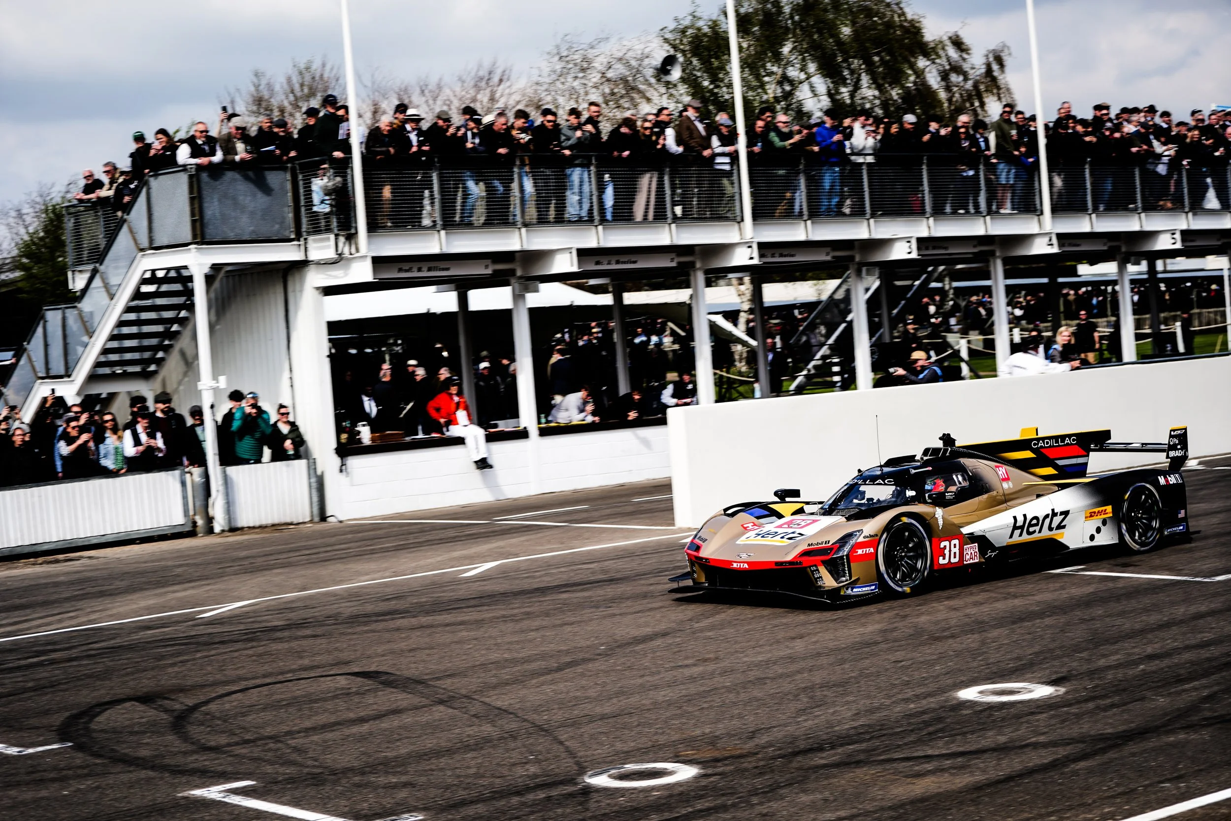 82nd Goodwood MM 291.jpg