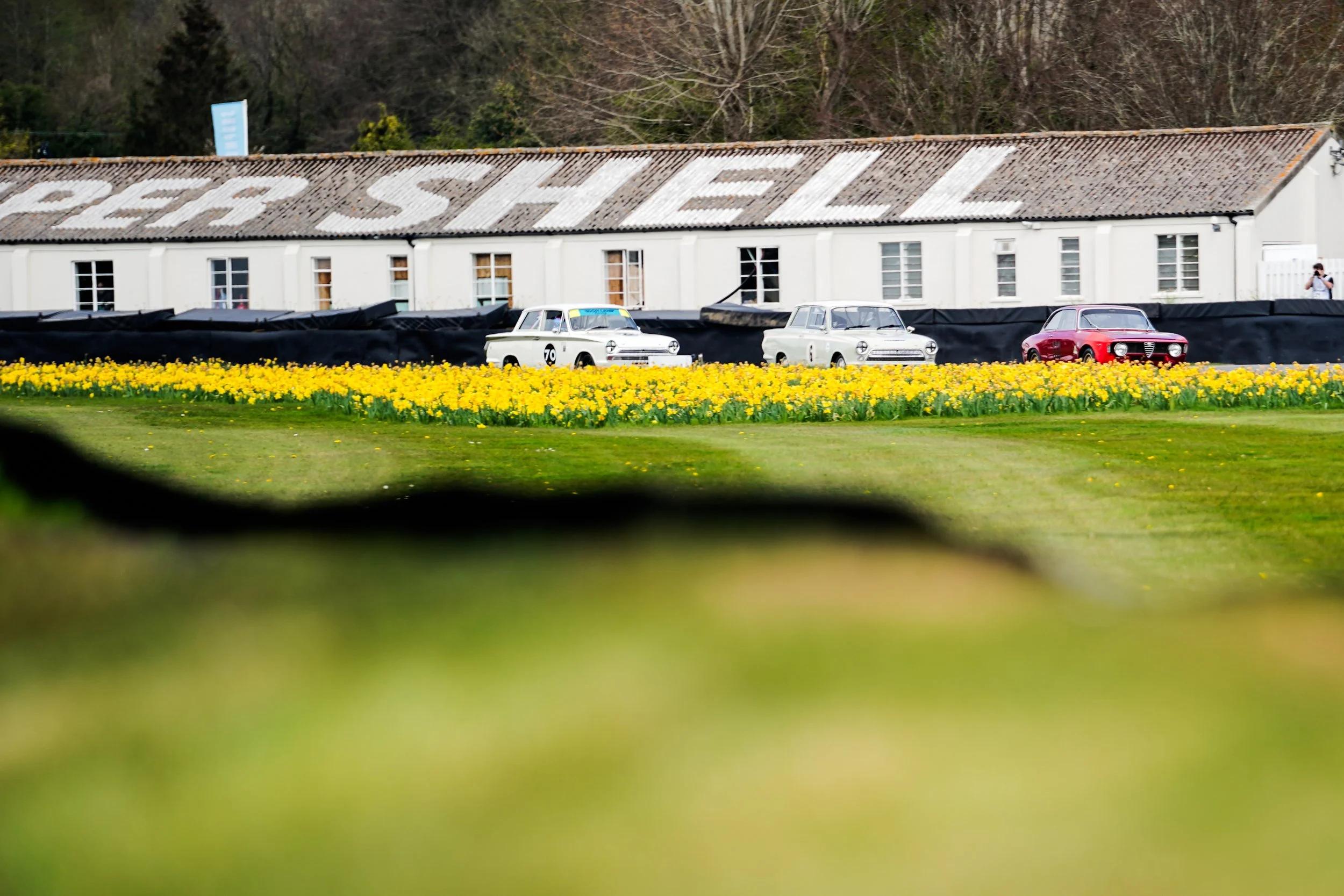 82nd Goodwood MM 102.jpg