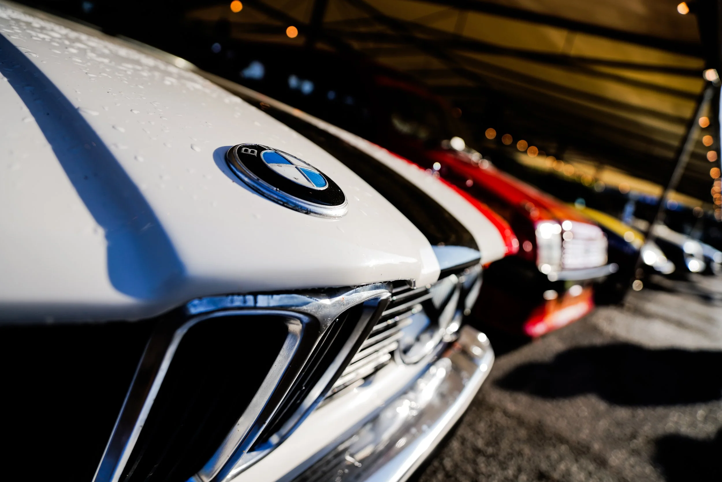 82nd Goodwood MM 221.jpg