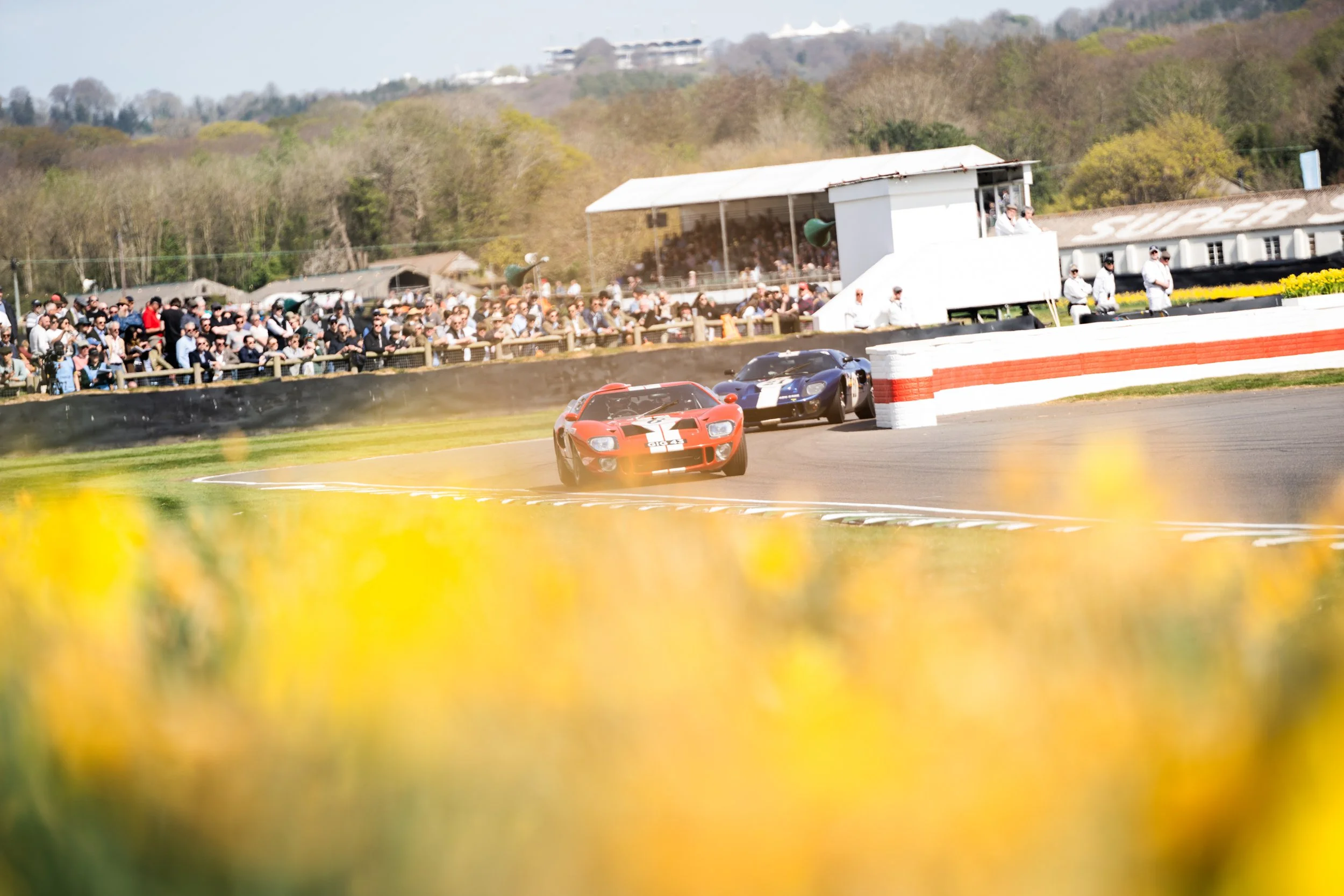 82nd Goodwood MM 54.jpg