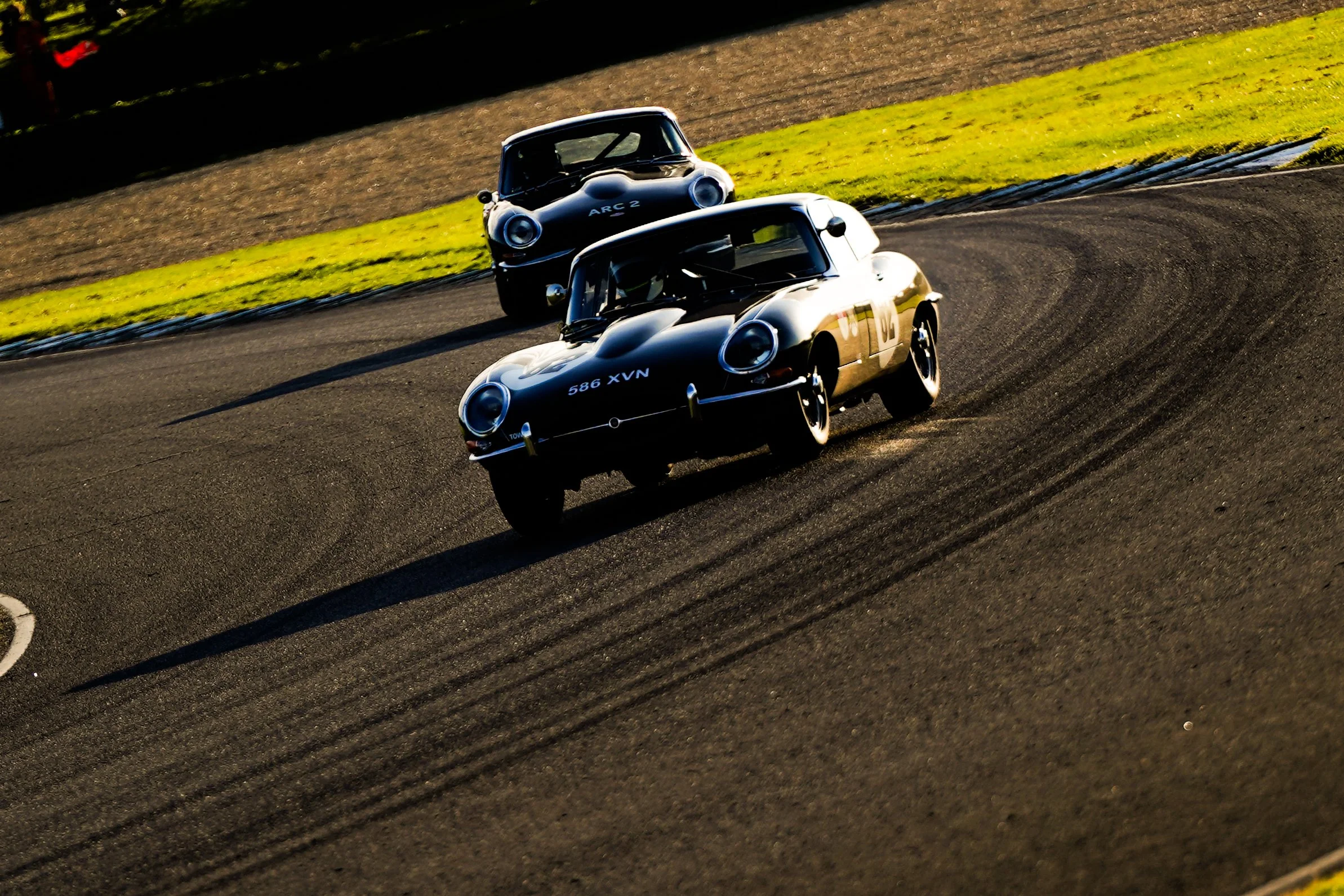 DSC06290.jpg